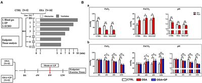 Ganglionated Plexi Ablation Suppresses Chronic Obstructive Sleep Apnea-Related Atrial Fibrillation by Inhibiting Cardiac Autonomic Hyperactivation